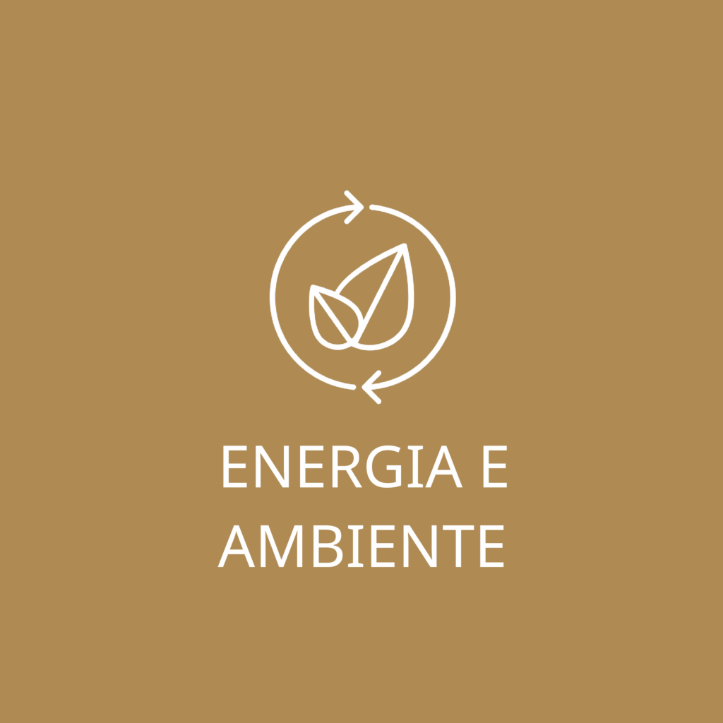 Logo servizio Energia e Ambiente con foglia stilizzata