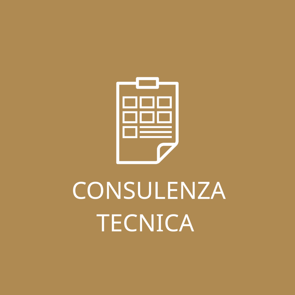 Logo servizio Consulenza Tecnica con cartellina e checklist stilizzata