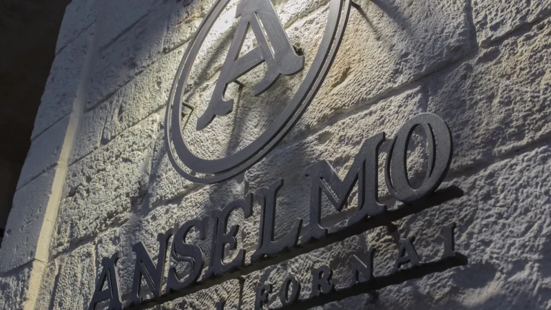 Logo Anselmo Maestri Fornai